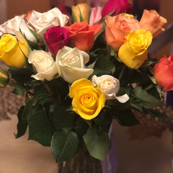 Meet your Posher, Celeste - Picture 1 of 1